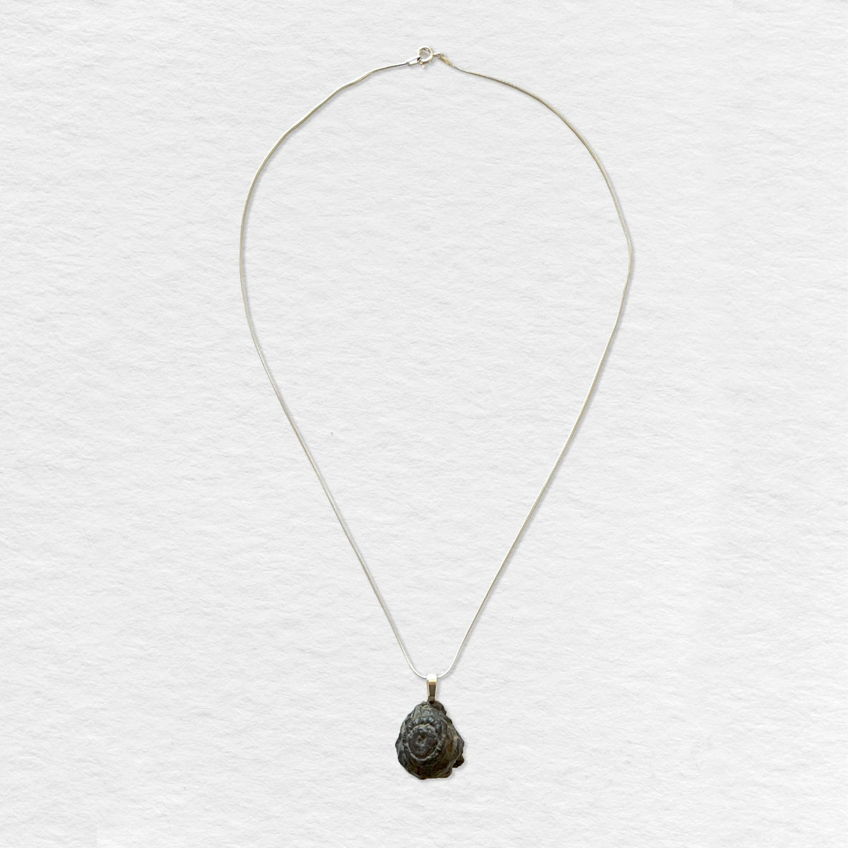 Colgante de Limonita con cadena de plata Número37 Accesorio Joyas