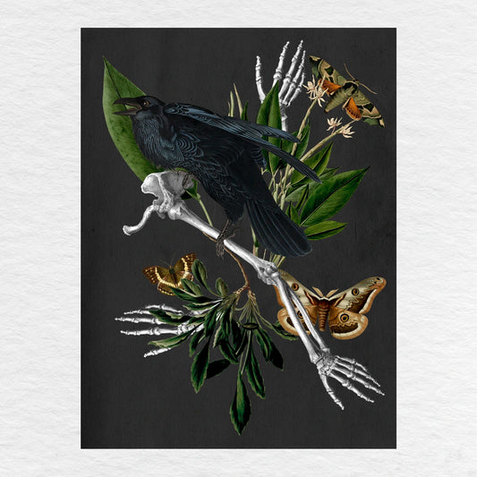 Número37 Collage El Cuervo, enmarcado negro, 32 x 42 cm. decoración cuadro