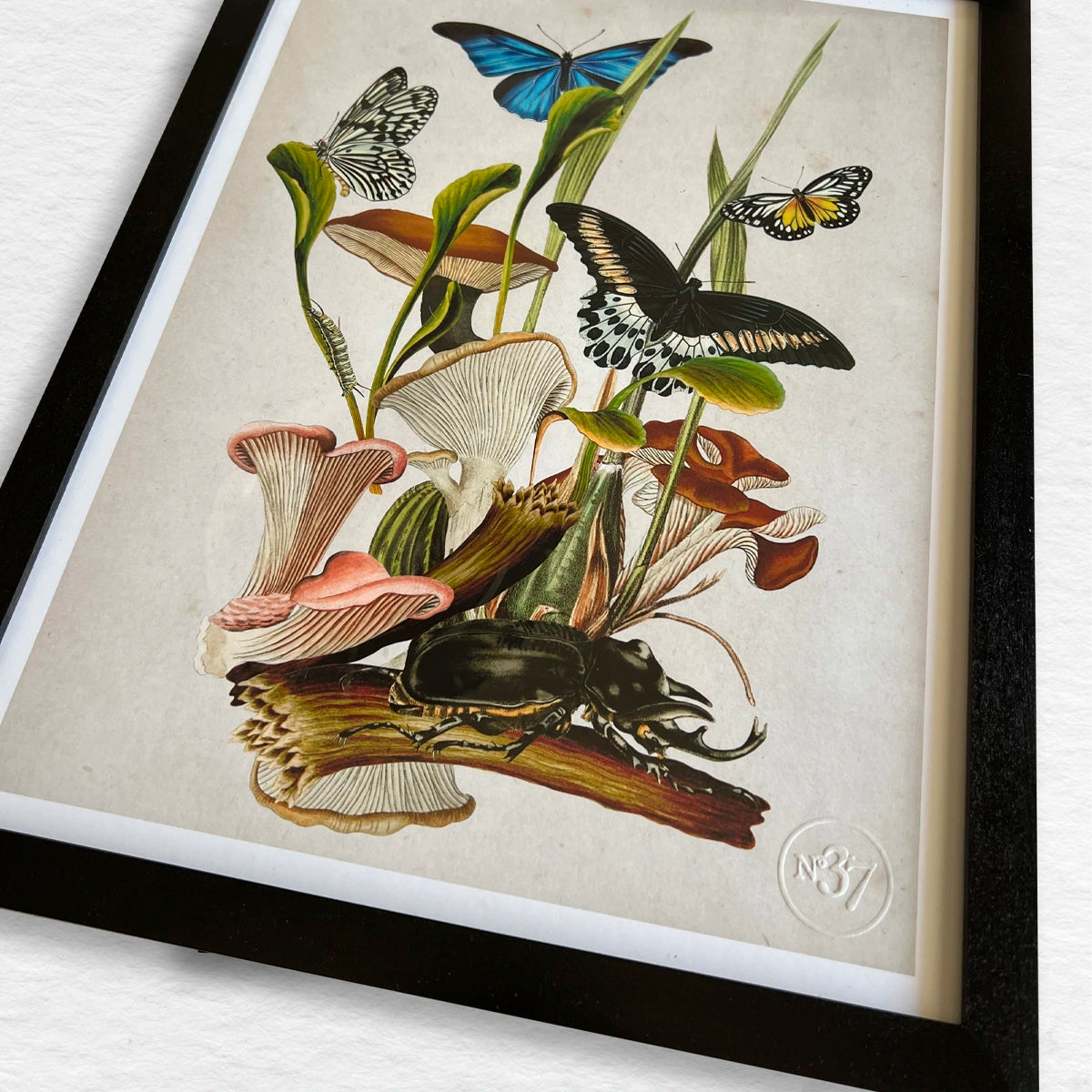 Número37 Collage Fungi, enmarcado negro, 32 x 42 cm. decoración cuadro