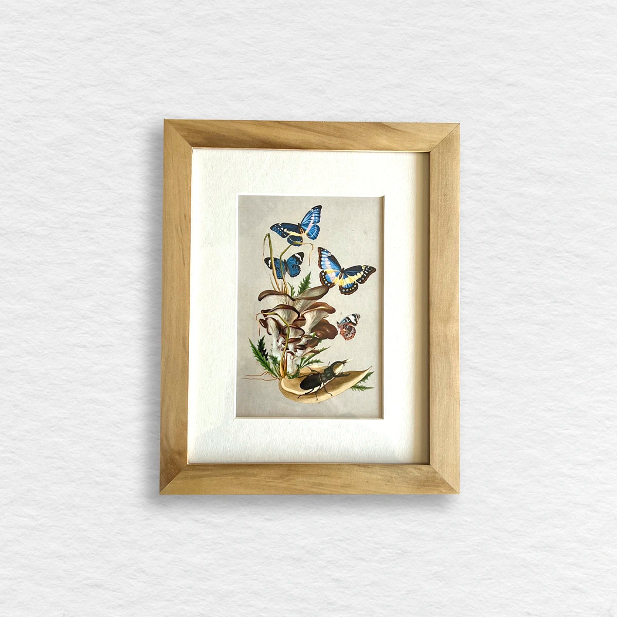Número37 Collage Morpho, enmarcado natural, 19 x 24 cm. decoración cuadro