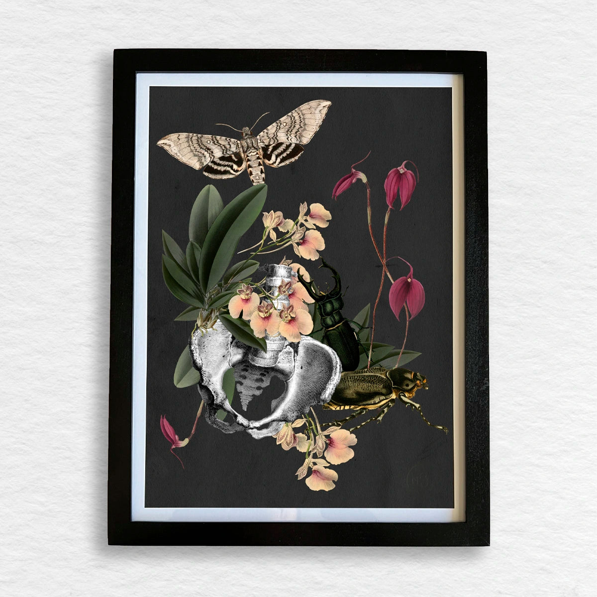 Número37 Collage Orquídeas, enmarcado negro, 32 x 42 cm. decoración cuadro