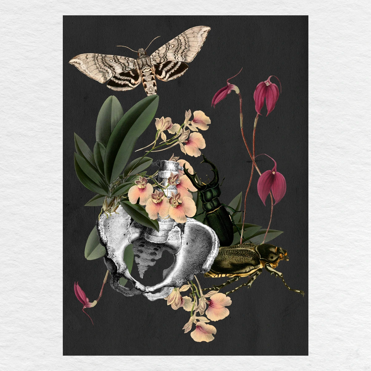 Número37 Collage Orquídeas, enmarcado negro, 32 x 42 cm. decoración cuadro