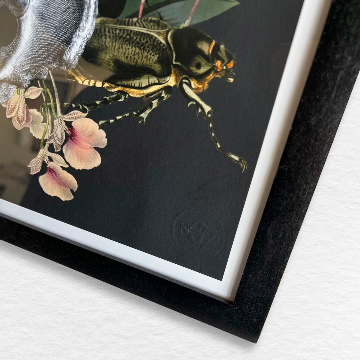 Número37 Collage Orquídeas, enmarcado negro, 32 x 42 cm. decoración cuadro