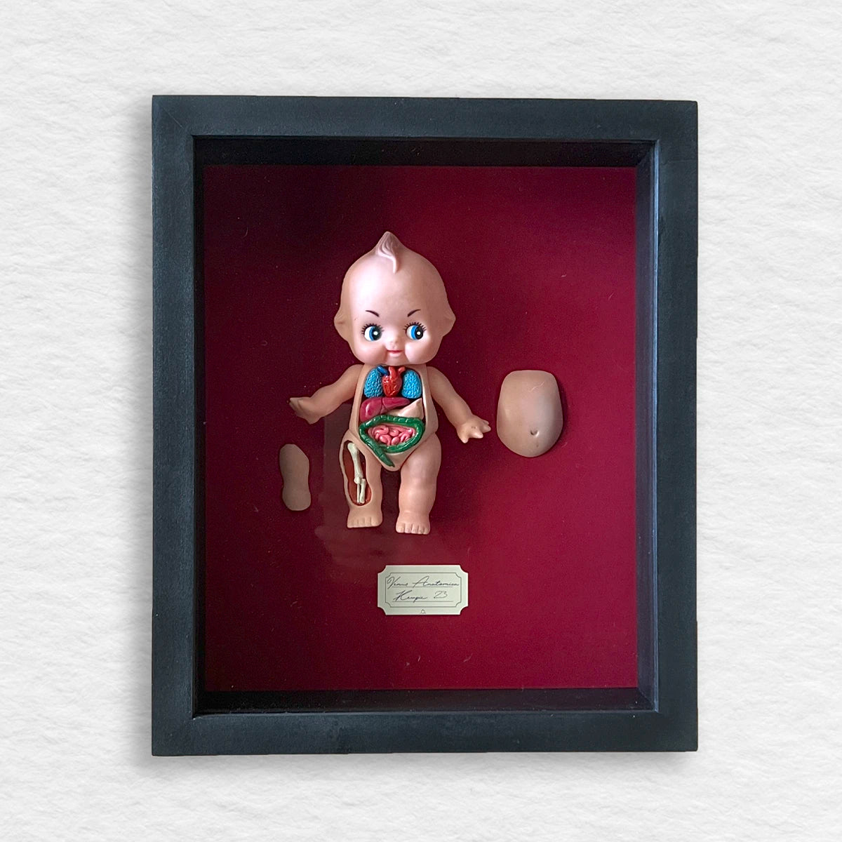 Número37 Venus Anatómica Kewpie 23 muñeca vintage