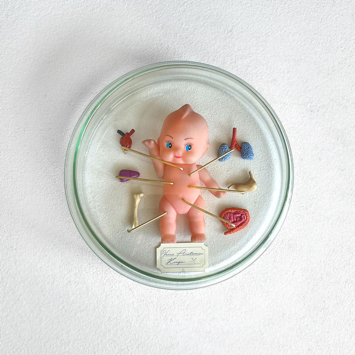 Número37 Venus Anatómica "Kewpie 31"