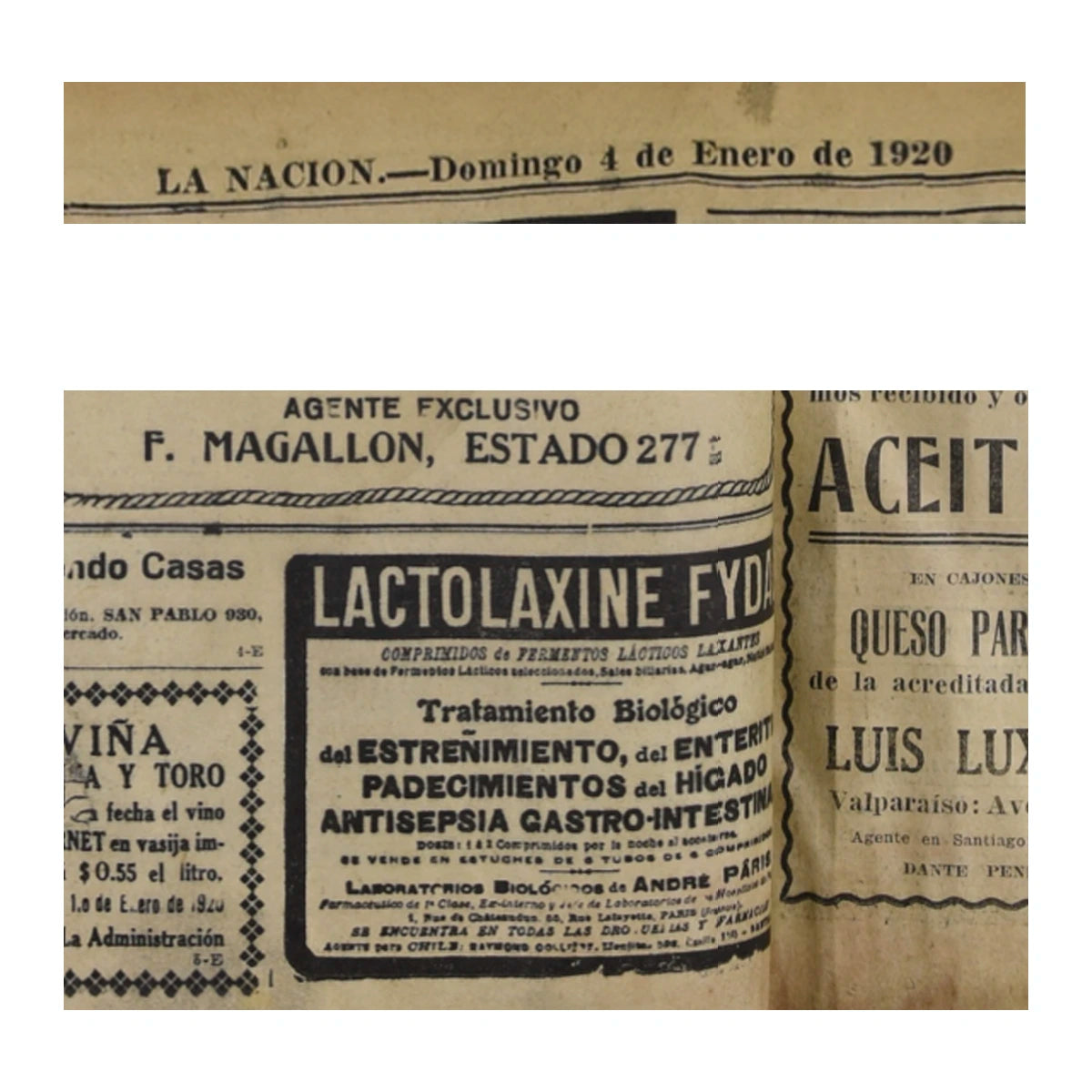 Número37 Lactolaxine curiosidades y decoración