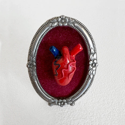 Número37 Mini Corazón Anatómico en marco