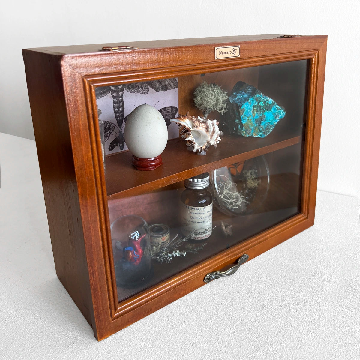 Gabinete de Curiosidades, Número37, Minerales, Mariposas, Colección