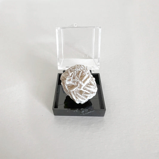 Número37 rosa del desierto minerales