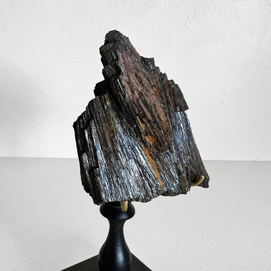 Turmalina en pedestal, Número37, Gabinete de Curiosidades, Minerales