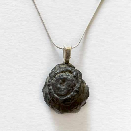 Colgante de Limonita con cadena de plata Número37 Accesorio Joyas