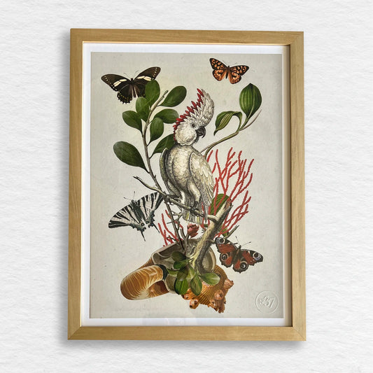 Número37 Collage Cacatúa, enmarcado natural, 32 x 42 cm. decoración cuadro