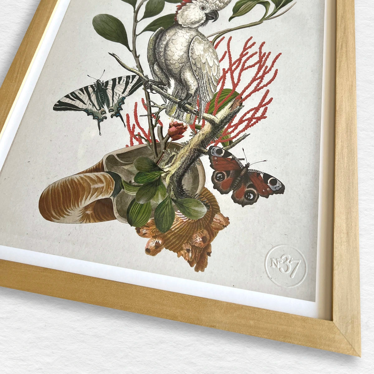 Número37 Collage Cacatúa, enmarcado natural, 32 x 42 cm. decoración cuadro
