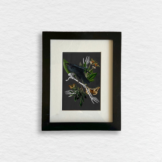 Número37 Collage El Cuervo, enmarcado negro, 19 x 24 cm. decoración cuadro