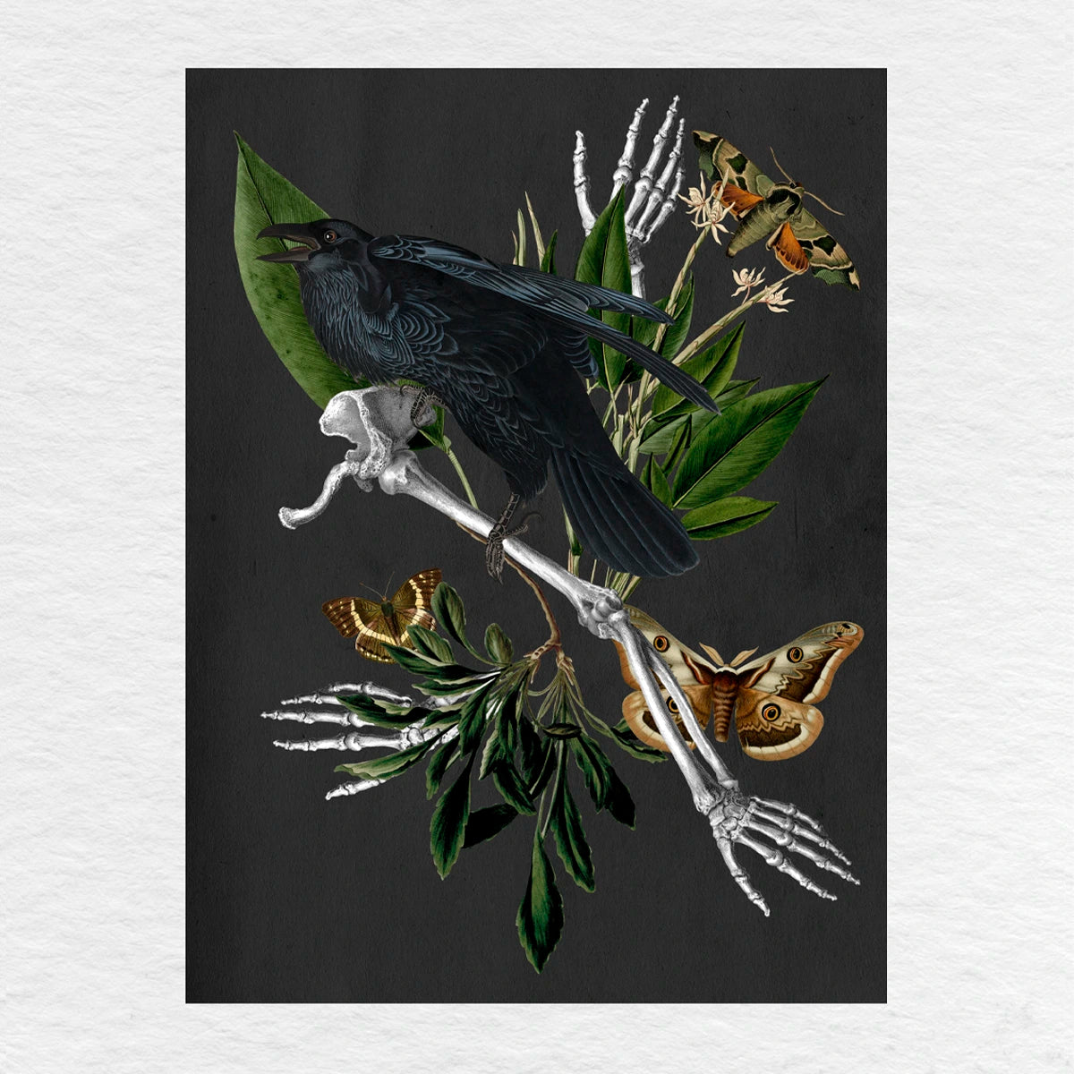 Número37 Collage El Cuervo, enmarcado negro, 19 x 24 cm. decoración cuadro