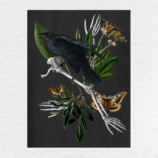 Número37 Collage El Cuervo, enmarcado negro, 19 x 24 cm. decoración cuadro