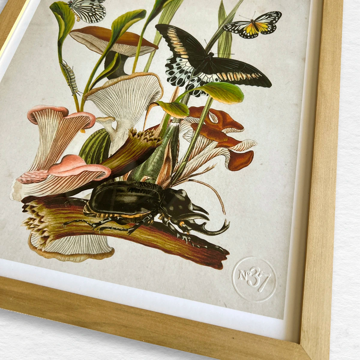 Número37 Collage Fungi, enmarcado natural, 32 x 42 cm. decoración cuadro