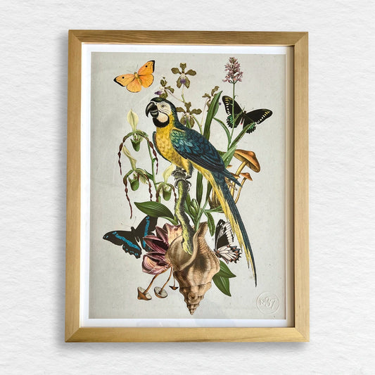 Número37 Collage Guacamayo, enmarcado natural, 32 x 42 cm. decoración cuadro
