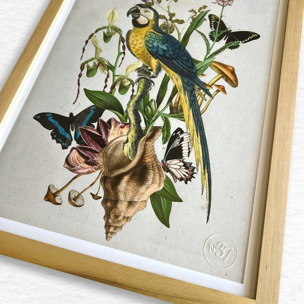 Número37 Collage Guacamayo, enmarcado natural, 32 x 42 cm. decoración cuadro