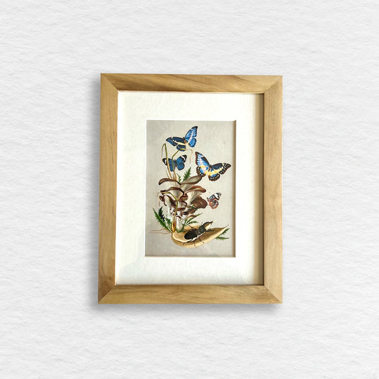 Número37 Collage Morpho, enmarcado natural, 19 x 24 cm. decoración cuadro