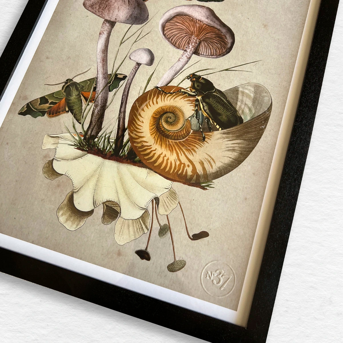 Número37 Collage Nautilus, enmarcado negro, 32 x 42 cm. decoración cuadro