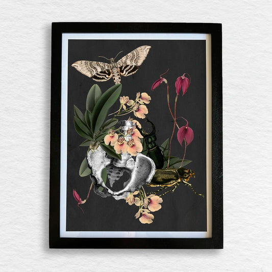 Número37 Collage Orquídeas, enmarcado negro, 32 x 42 cm. decoración cuadro