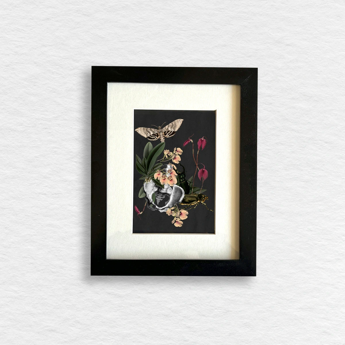 Número37 Collage Orquideas, enmarcado negro, 19 x 24 cm. decoración cuadro