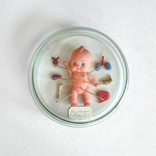 Número37 Venus Anatómica "Kewpie 31"