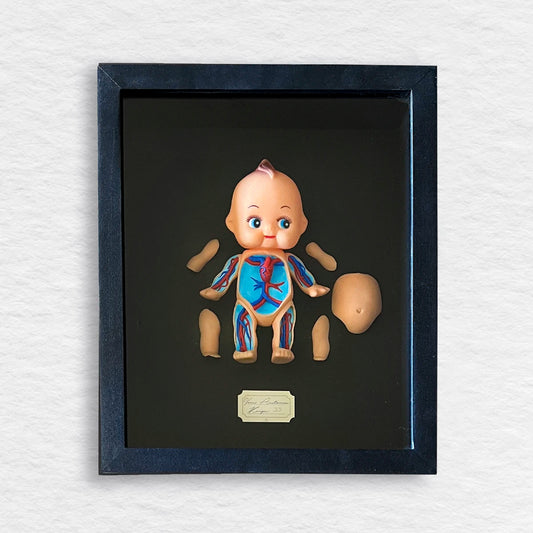 Venus anatómica kewpie 33, gabinete de curiosidades, muñeca