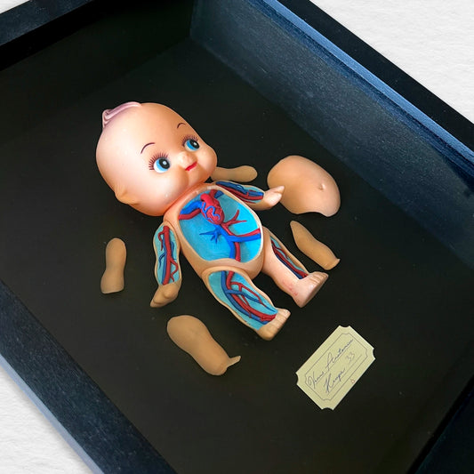 Venus anatómica kewpie 33, gabinete de curiosidades, muñeca