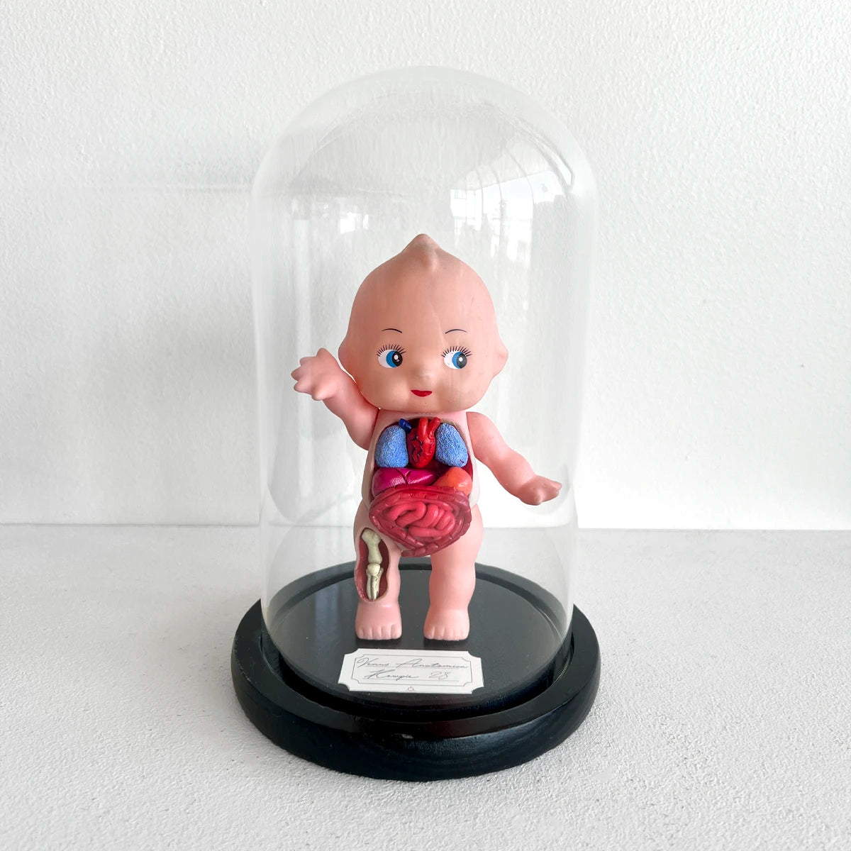 Venus Anatómica "Kewpie 28" gabinete de curiosidades decoración