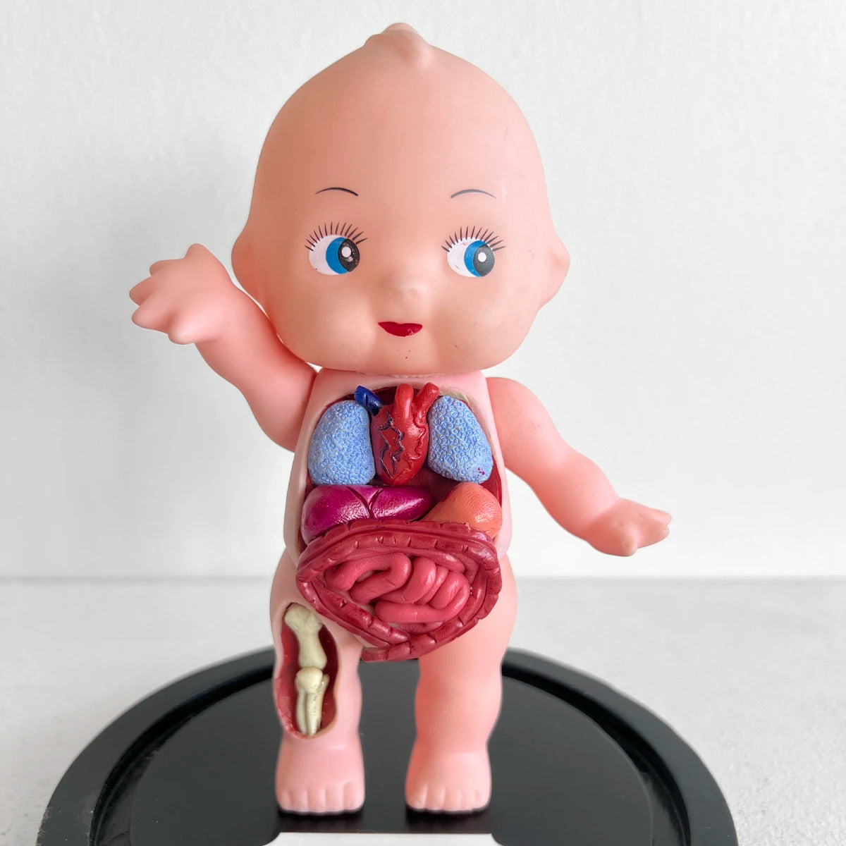 Venus Anatómica "Kewpie 28" gabinete de curiosidades decoración