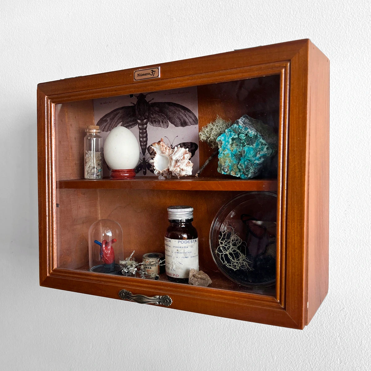 Gabinete de Curiosidades, Número37, Minerales, Mariposas, Colección