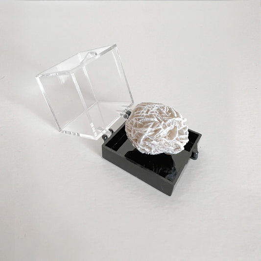 Número37 rosa del desierto minerales 