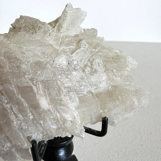 Número37 selenita cristalizada pedestal minerales 